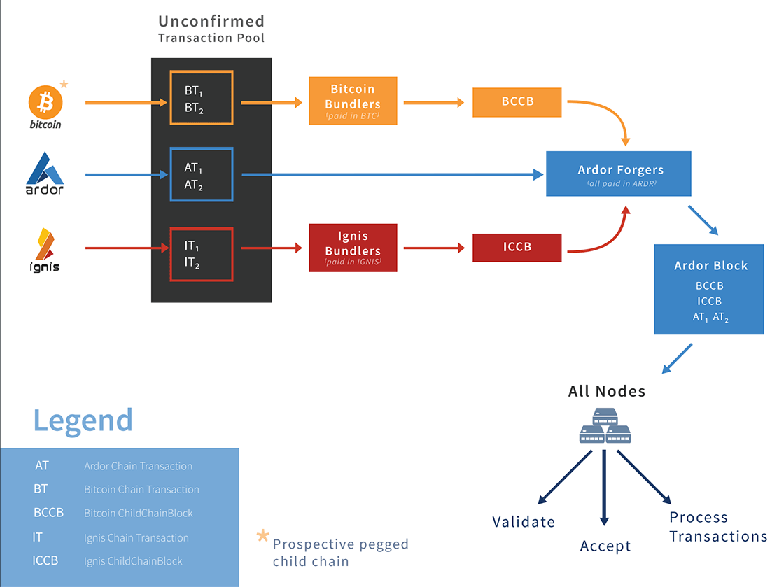 Ardor control. Цепочка блоков транзакций. Транзакция биткоин. Транзакции в блокчейне. Ardor криптовалюта.