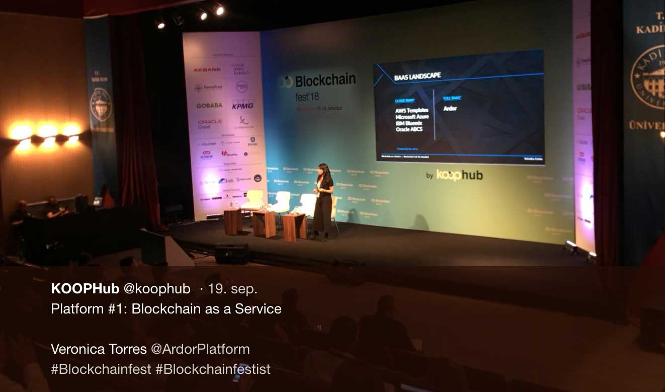 Veronica_Torras_Jelurida_KOOPHub2018